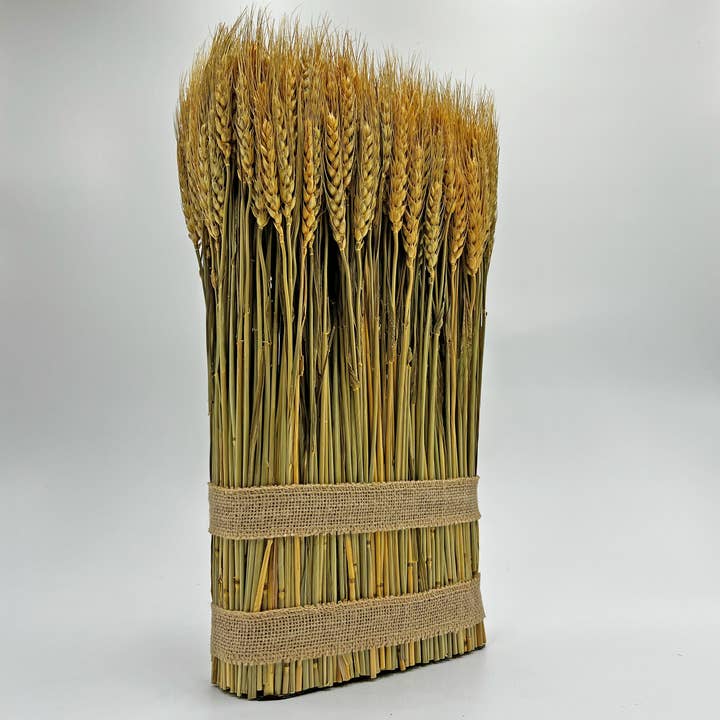 2626 Designs - Wholesale Dried/Pressed Flowers - Fall Harvest Preserved Decorative Wheat Standing Plant 5