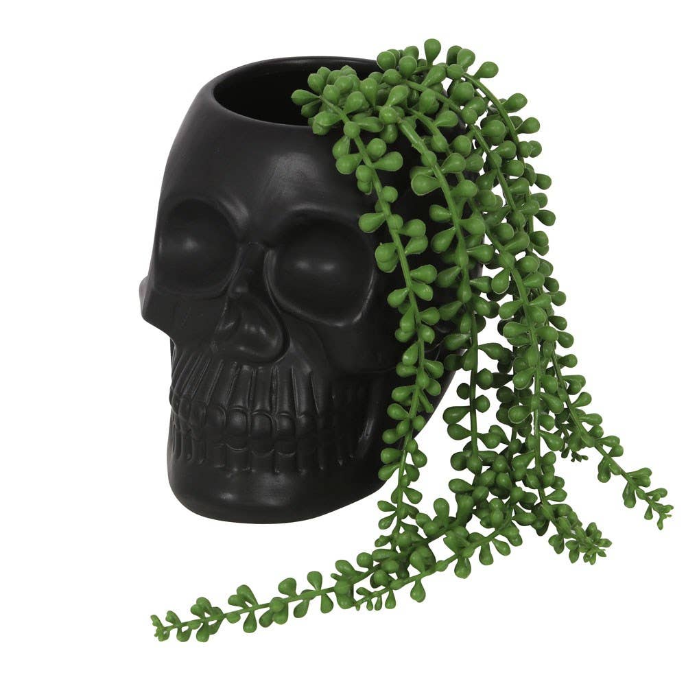 Something Different Wholesale - Wholesale Plant Pot - Black Skull Plant Pot