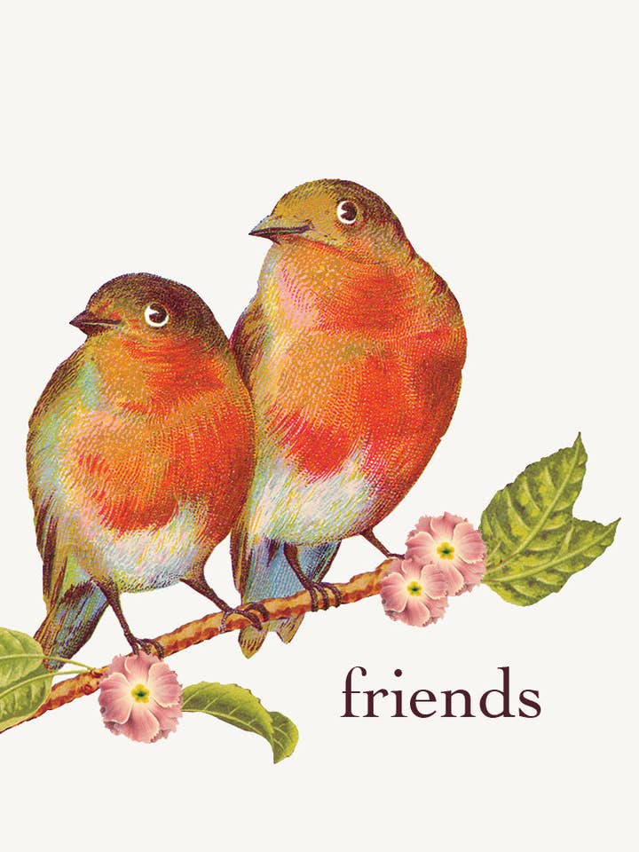 Friends Birds • Mini Enclosure Card for wholesale by P. Flynn Design / Phun House