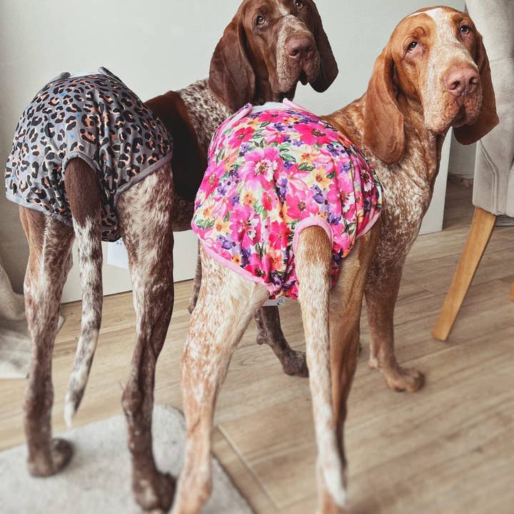 Hounds of Eden - Wholesale Pet Diaper - Dog - 'Florentina' - Dog Season Hygiene Panties3