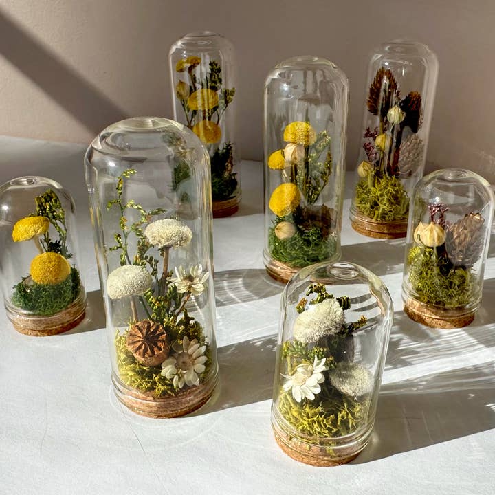 CA Studios - Wholesale Terrarium - Meadow Mix Mini Glass Cloche Terrarium w. Dried Florals5