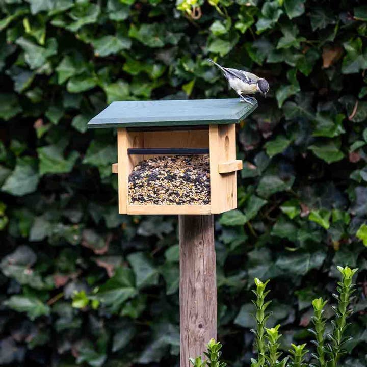Green Feathers - Wholesale Bird feeder - Tilburg Wall Mounted Feeding House1