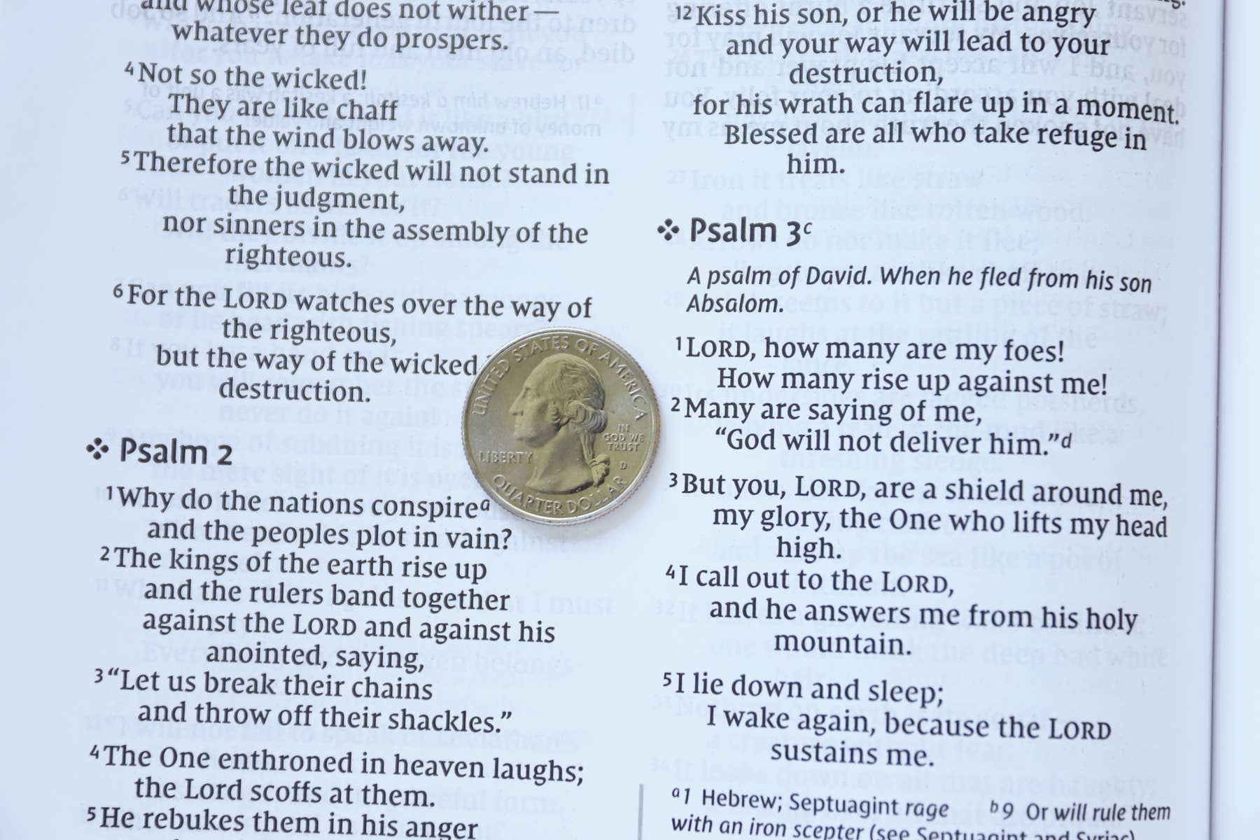 HarperCollins Christian Publishing - Wholesale Religion - NIV Value Thinline Bible Large Print Leathersoft Gray/Black5