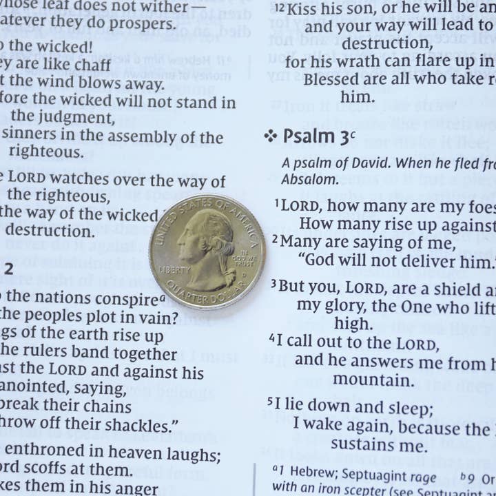 HarperCollins Christian Publishing - Wholesale Religion - NIV Value Thinline Bible Large Print Leathersoft Gray/Black5