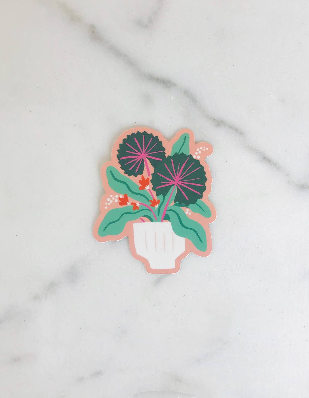 Idlewild Co. - Wholesale Sticker - Fan Palm Die Cut Sticker1