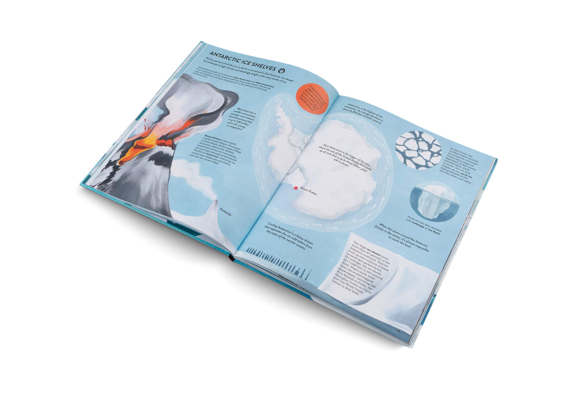 gestalten - Vente Nature & Outdoors - Penguins and Polar Bears3