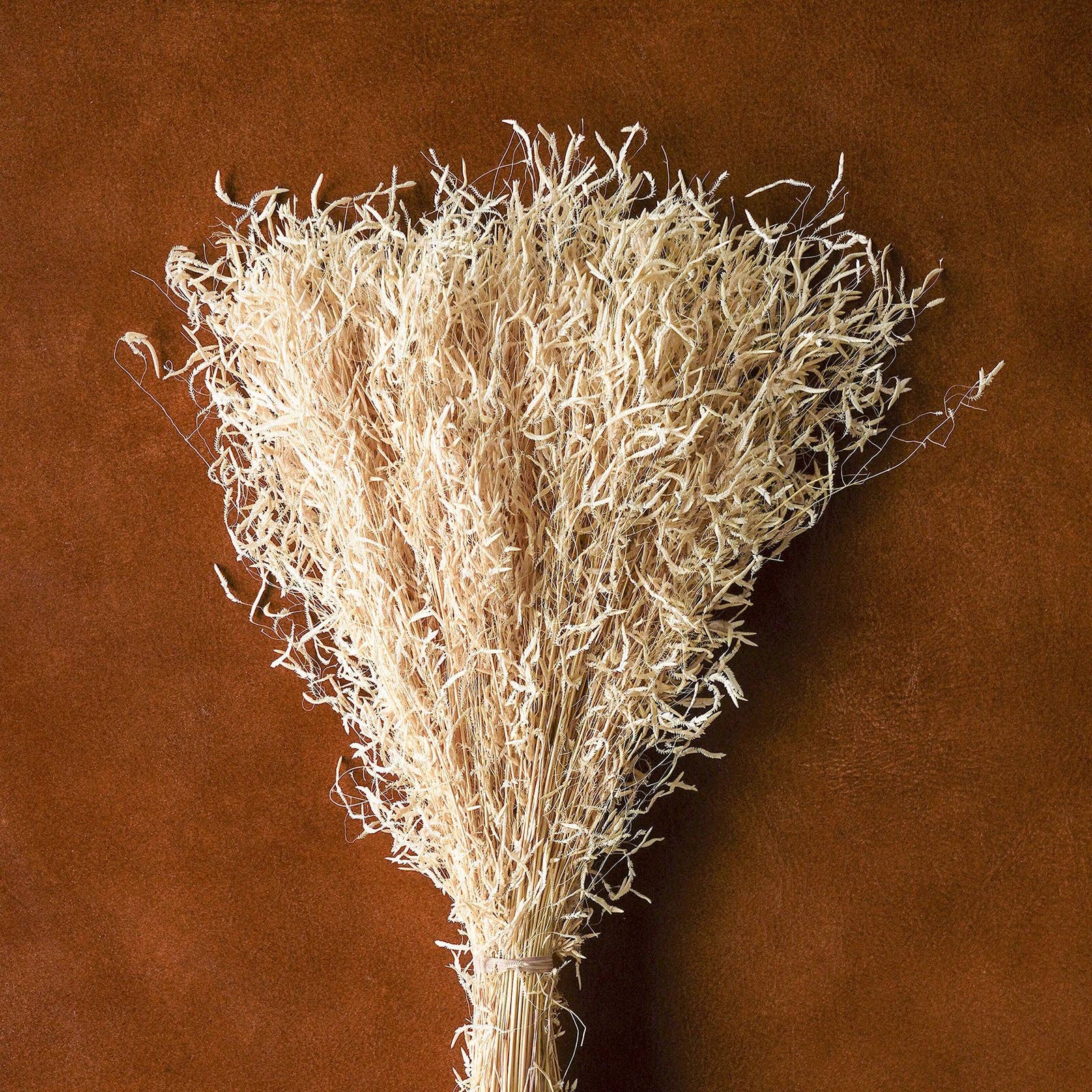 Blue Ocean Traders - Wholesale Dried/Pressed Flowers - Mixed Dried Grasses and Florals Bleached, 20"6