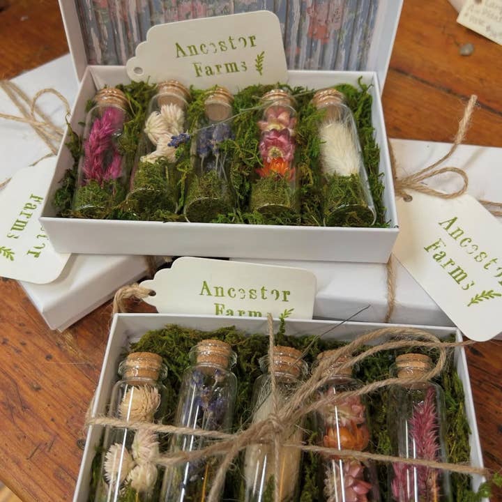 Everlasting Botanical Vials - Set of 5 for wholesale by Ancestor Farms