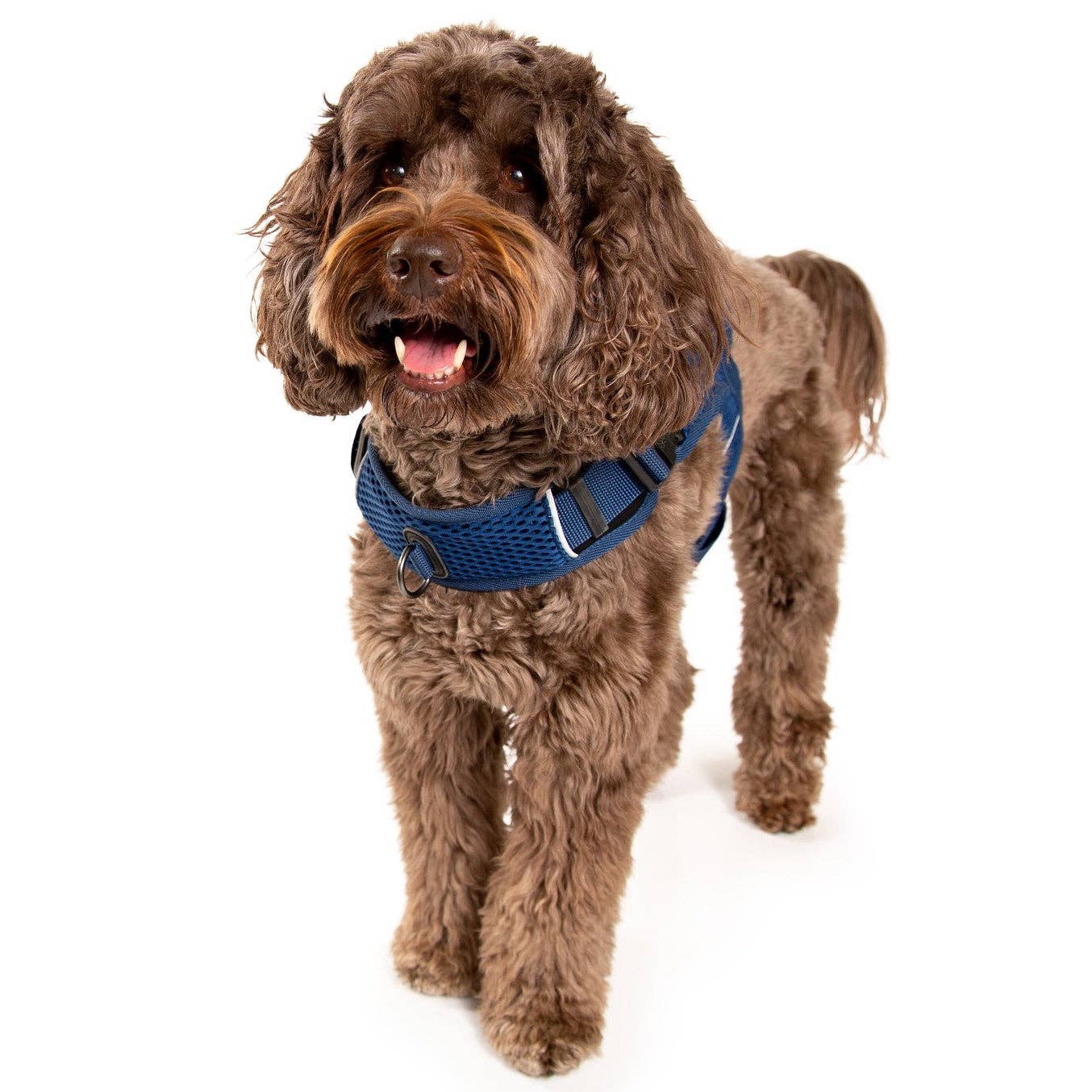 Sleepypod - Wholesale Pet Harness - Dog - Martingale Calming Harness for dogs20