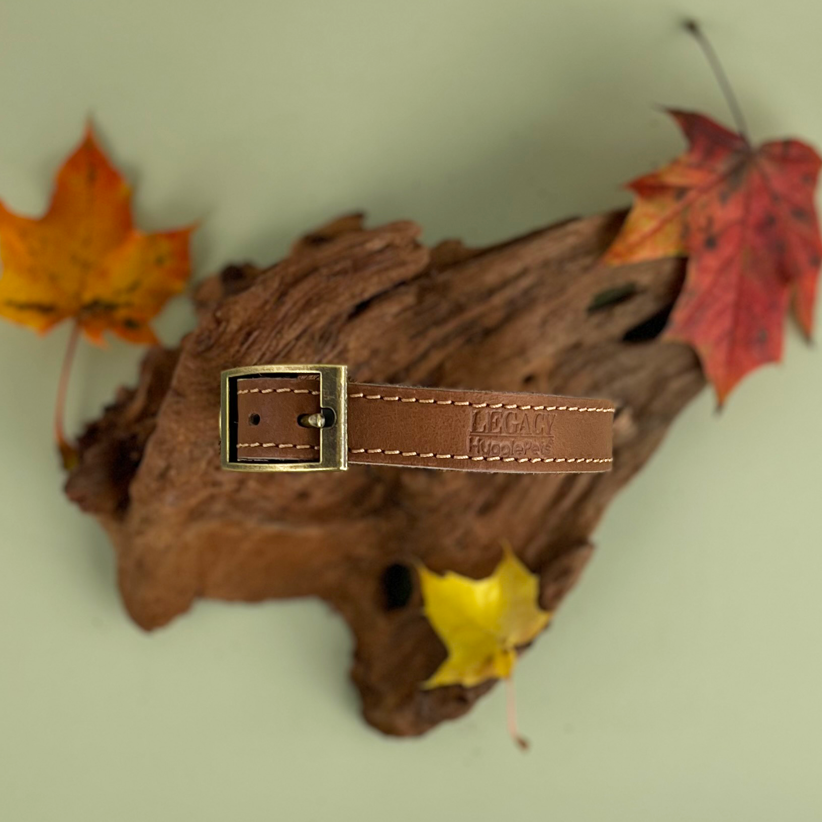 HugglePets – wholesale Pet collar – Dog – HugglePets Legacy Leather Dog Collar40