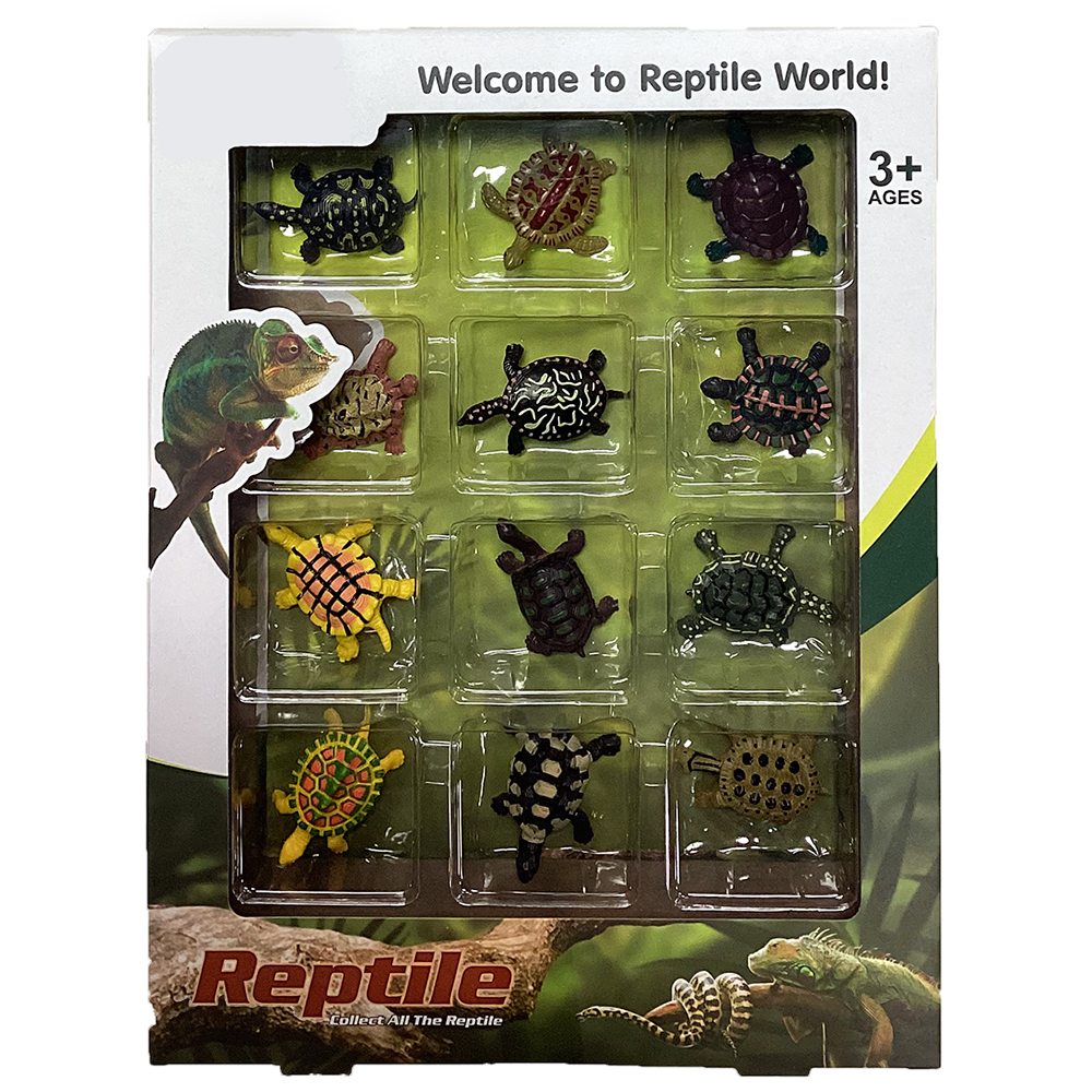 Texas Toy Distribution - Wholesale Figurine Toy - Kids - Reptile Retail Window Box with Assorted 12 Turtle Figurines0