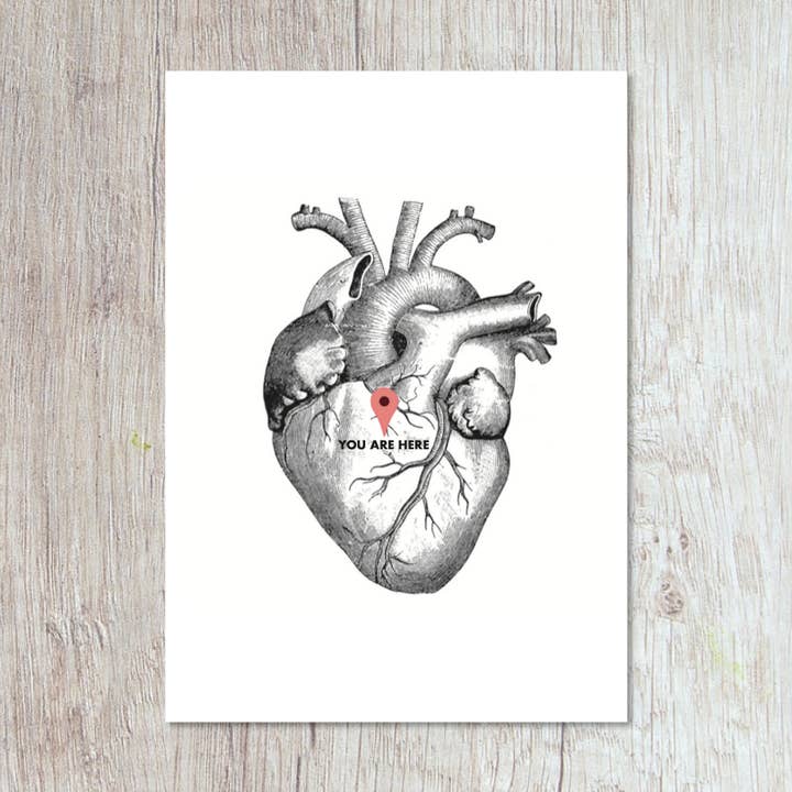 You are here for wholesale by Momokin