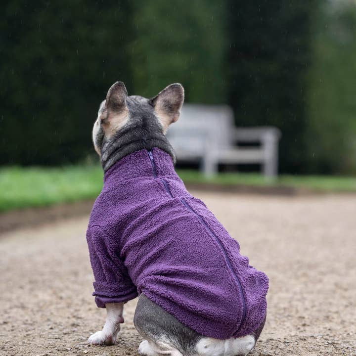 The Paw Print Boutique - Wholesale Pet Coat - Dog - Teddy Fleece - Plum6