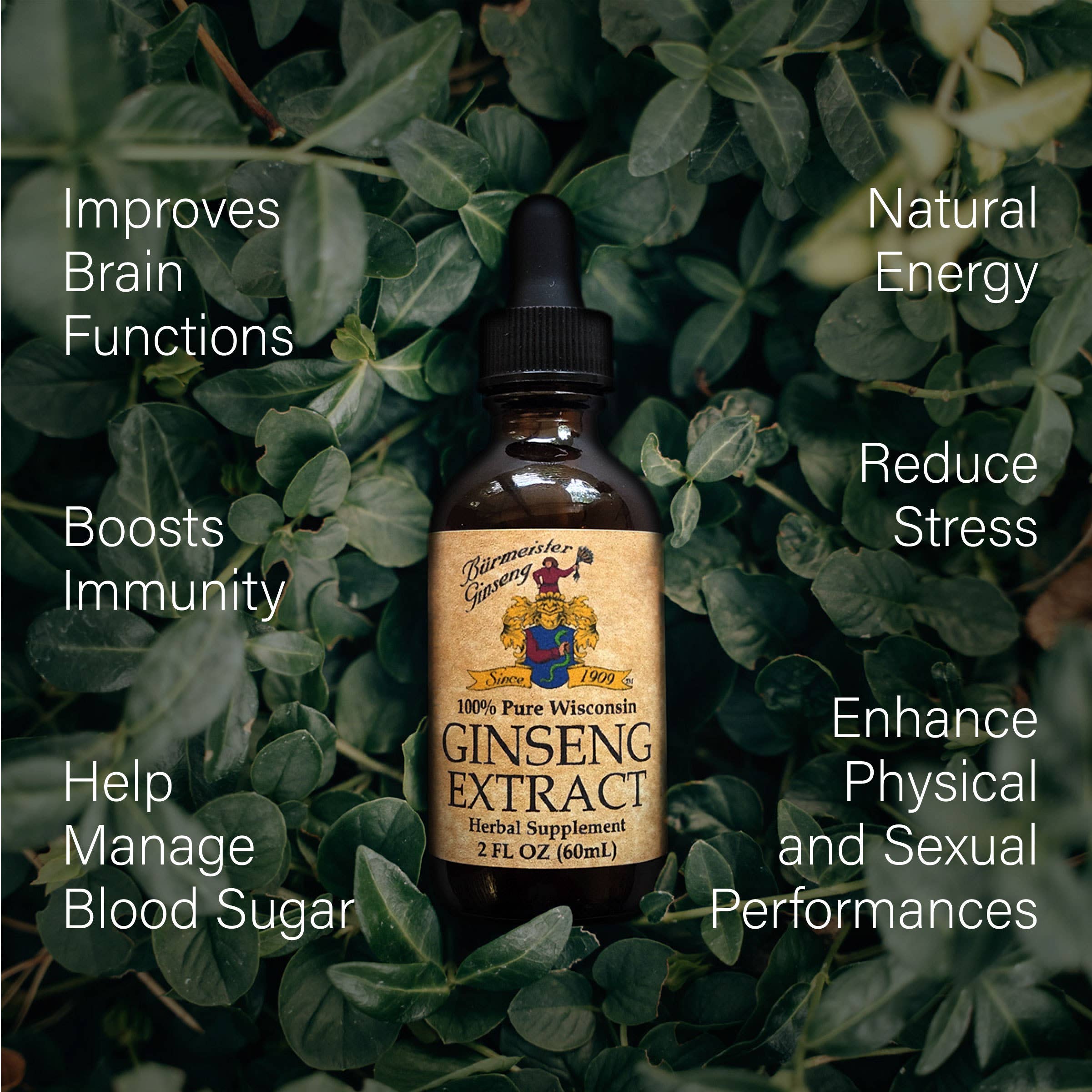 Burmeister Ginseng - Wholesale Oral Supplement/Vitamin - Ginseng Extract 2 oz (30 servings)3