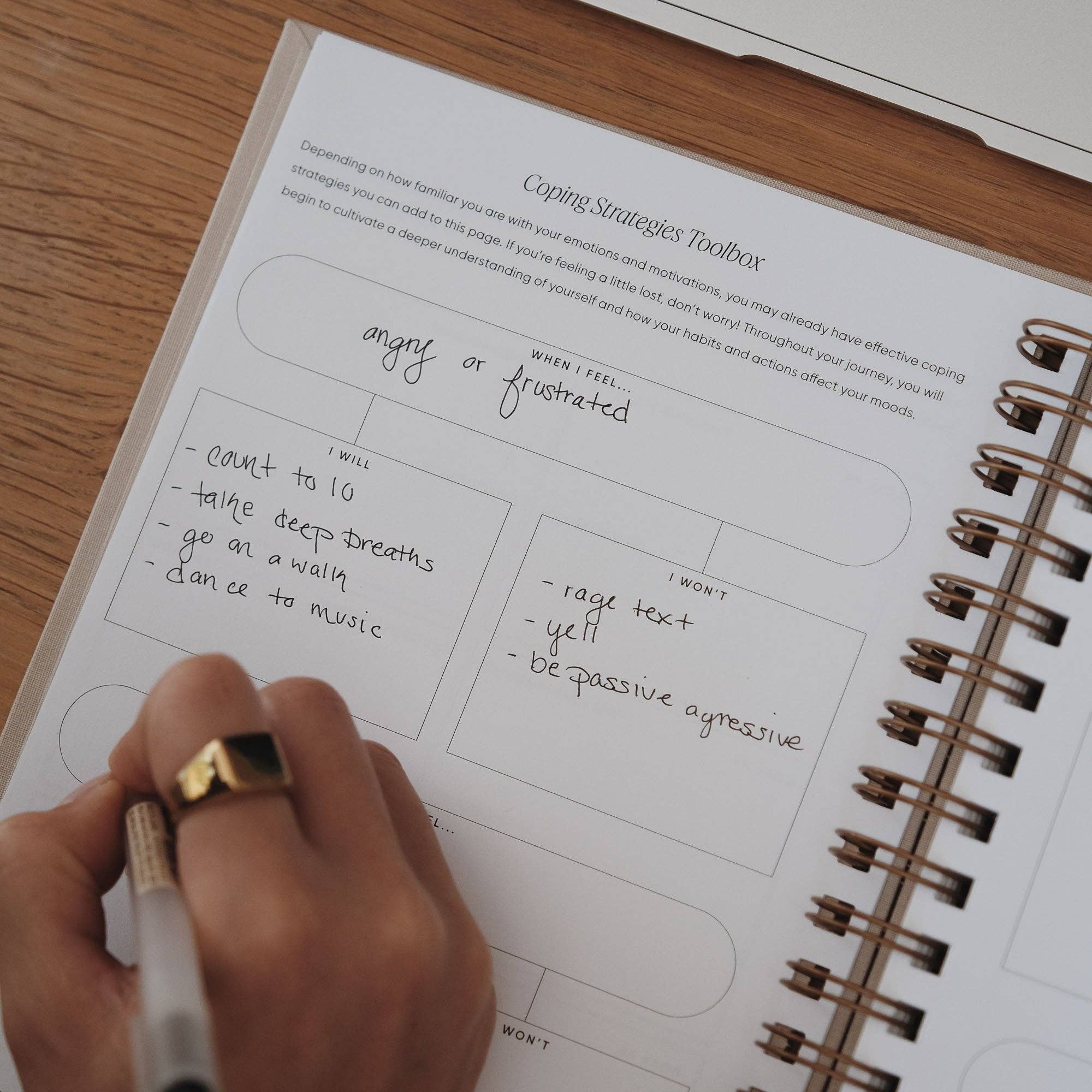 Simple Self - Wholesale Journal/Diary - The Inner Work Journal15