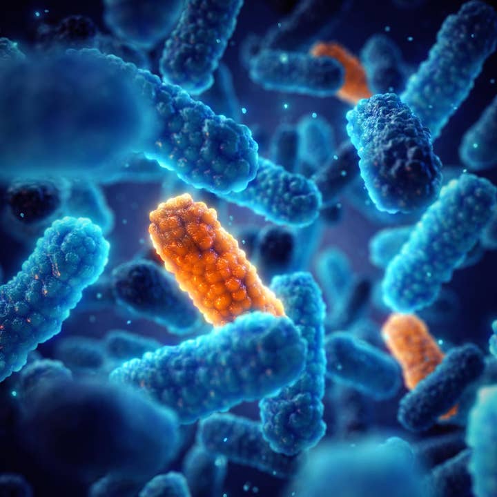 Art de cabinet médical - Résistance aux antimicrobiens pour la vente par Queence