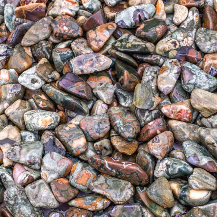 Piccola riolite della foresta pluviale burattata (Jasper) per la vendita all'ingrosso da parte di Tree of Life Gems