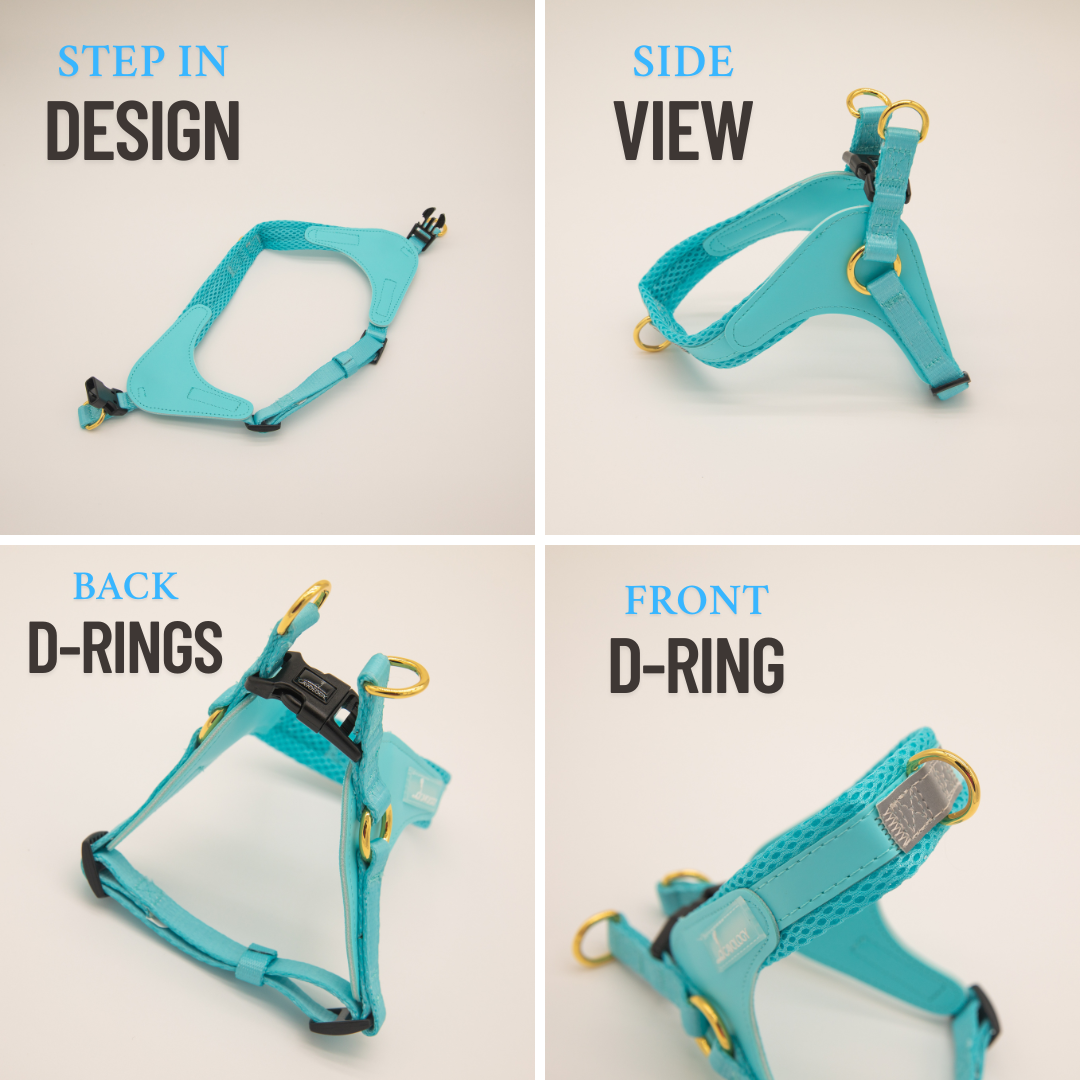 Cavology - Wholesale Pet Harness - Dog - EASY-O STEP IN HARNESS - Forest Green2