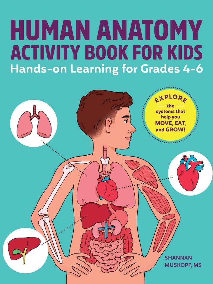 Human Anatomy Activity Book for Kids for wholesale by Sourcebooks