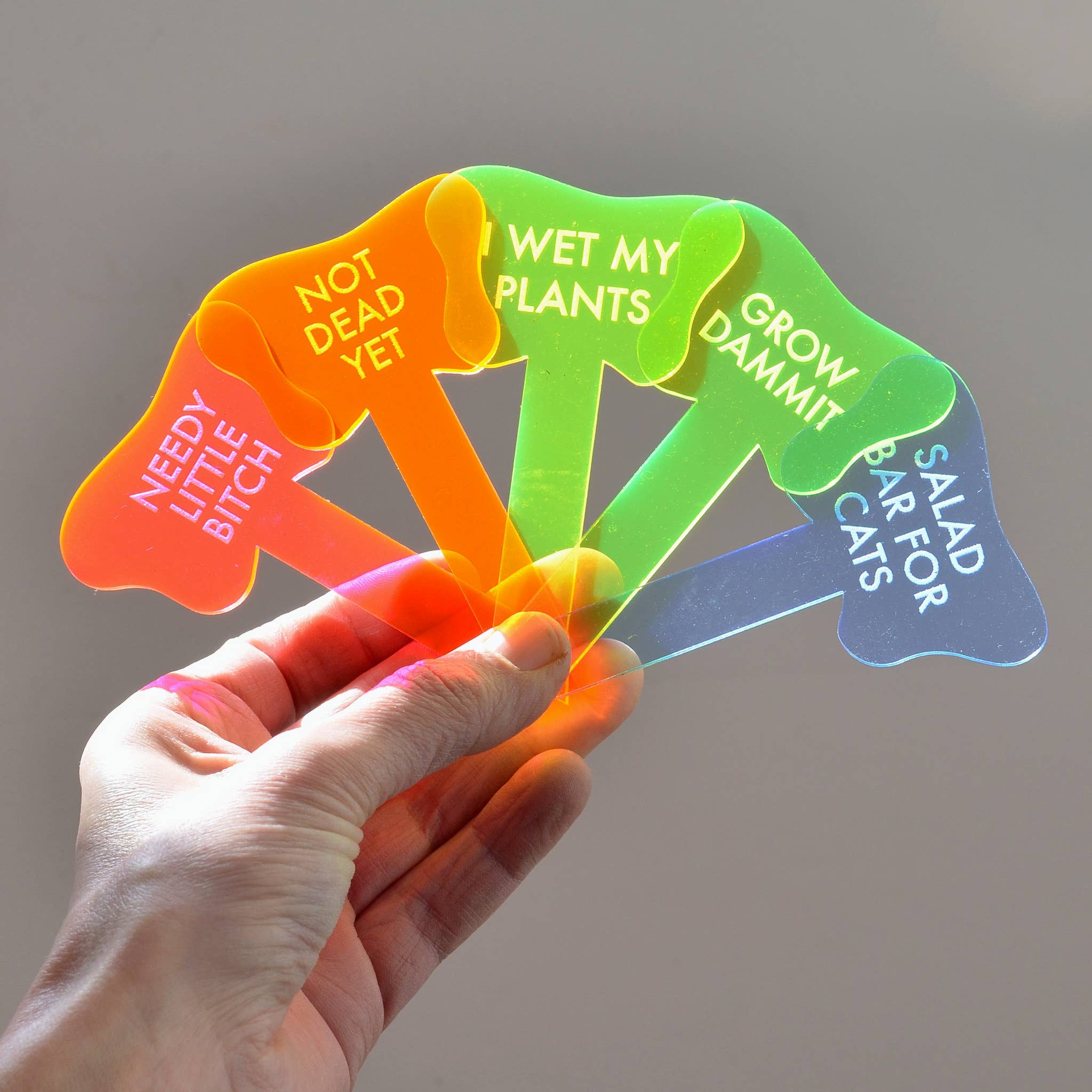 Tuff Girl Gang - Wholesale Plant Pot - NEEDY LITTLE BITCH Plant Stake1