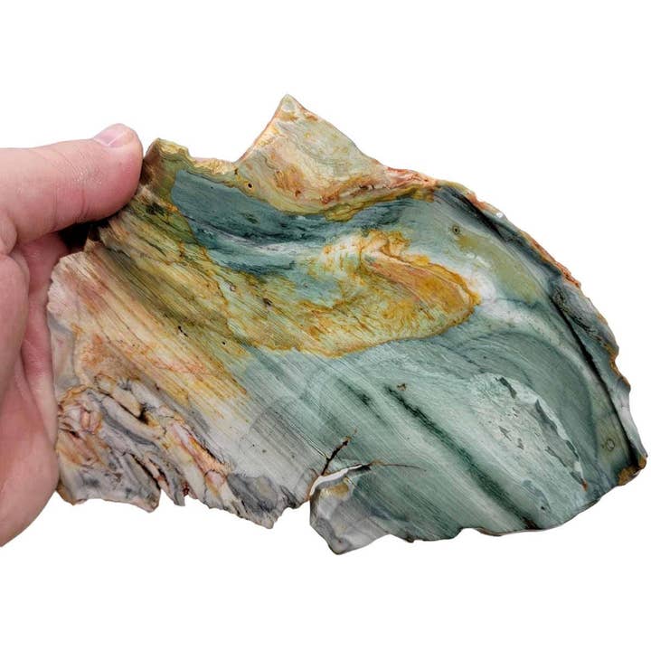 Ellipso Gary Green Larsonite Freedom Jasper Slab! Lapidary Stone Slab! for wholesale by Lapidary Central