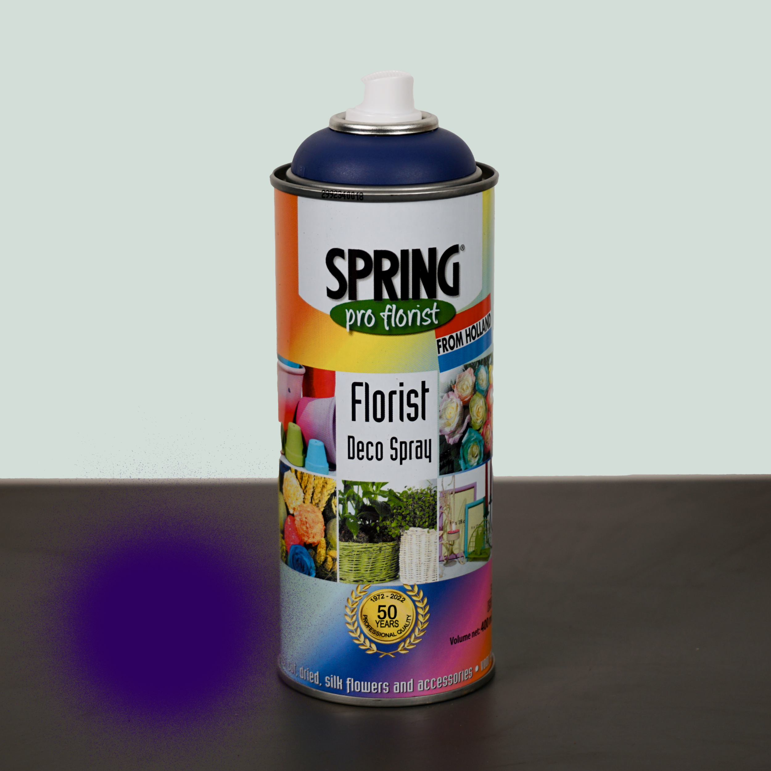 All Occasions Wholesale – wholesale Fresh cut flowers – Floral Spray Paint7