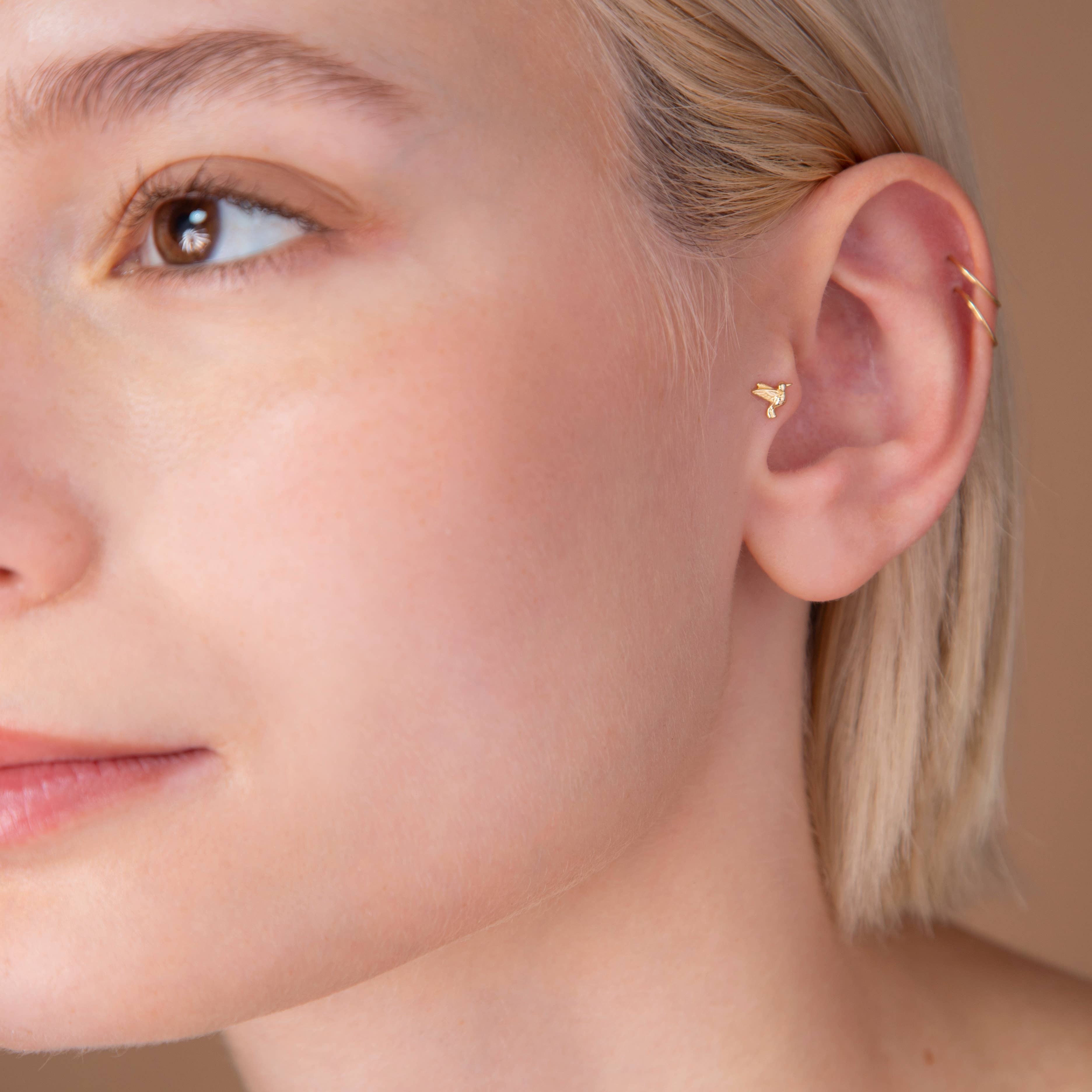 HolyBang Jewels - Wholesale Stud/Post Earrings - BIRD INTERNALLY THREADED LABRET 3