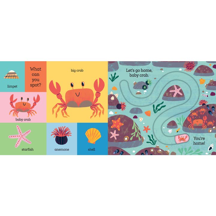 Hachette Book Group - Wholesale Preschool Book (3-5) - Let's Go Home, Baby Shark2