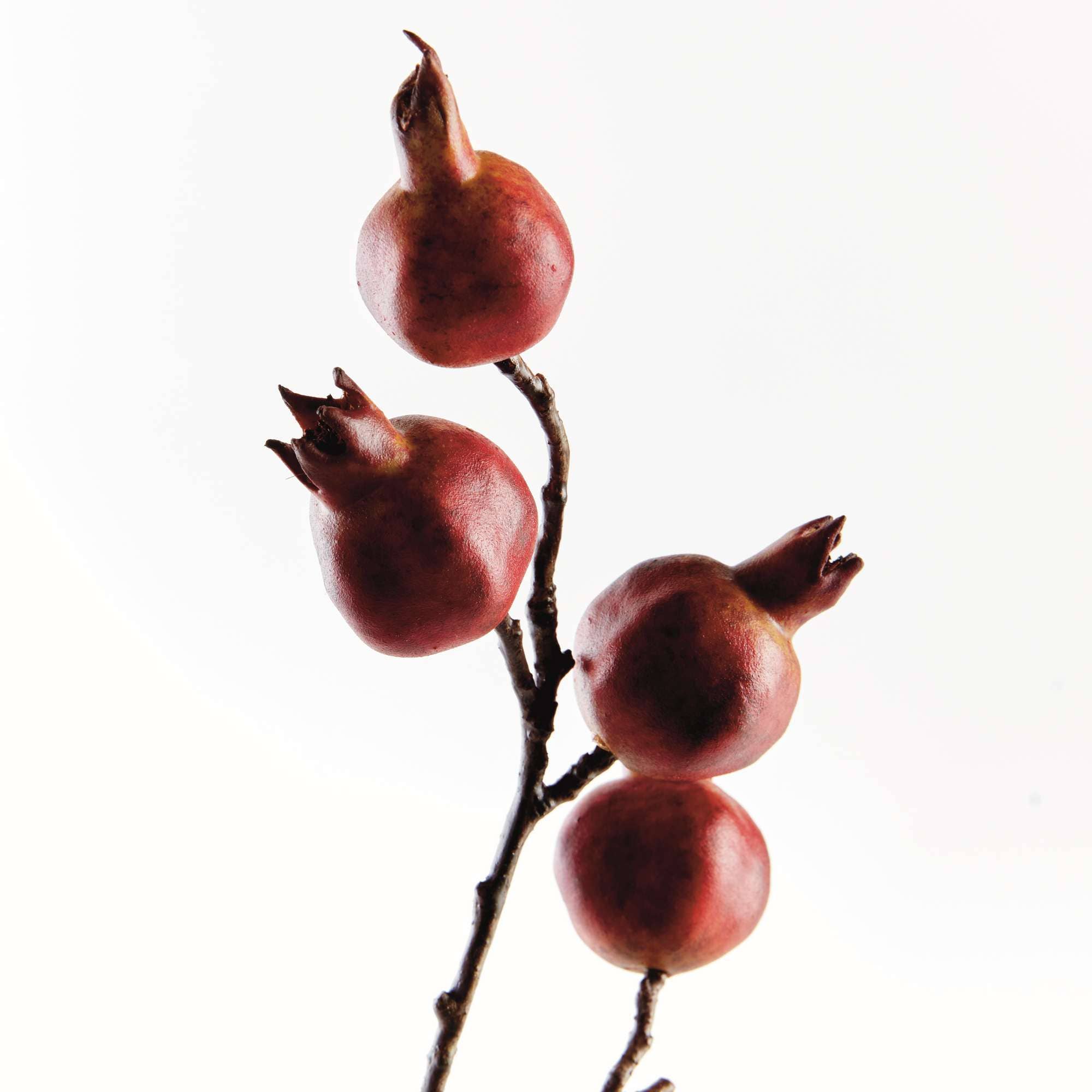 Napa Home & Garden - Wholesale Artificial Plant - Pomegranate Branch 21.5" - Red/Orange2