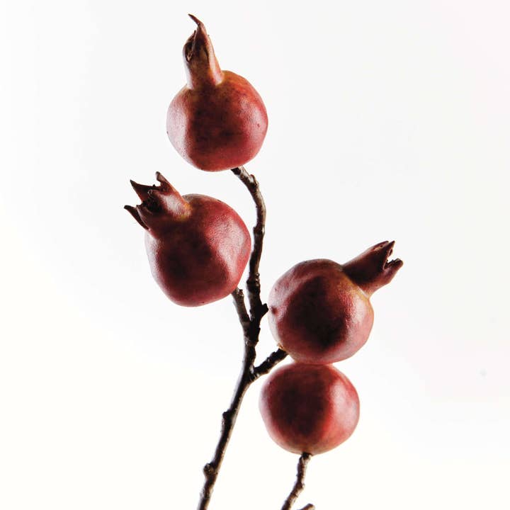 Napa Home & Garden - Wholesale Artificial Plant - Pomegranate Branch 21.5" - Red/Orange2
