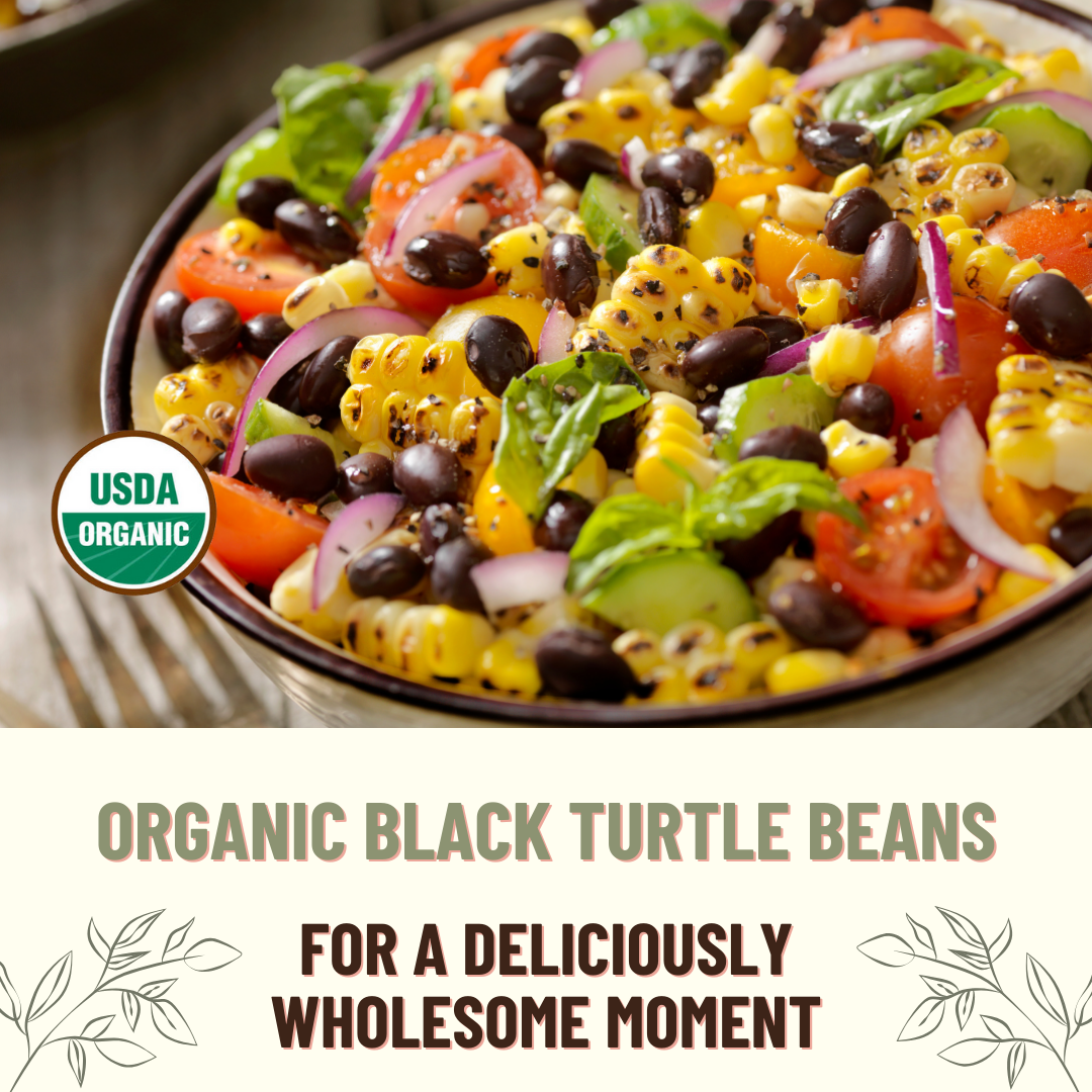 Mountain High Organics – Feijões por atacado – Mountain High Organics - Saco de 25lb, Feijão Preto Orgânico4