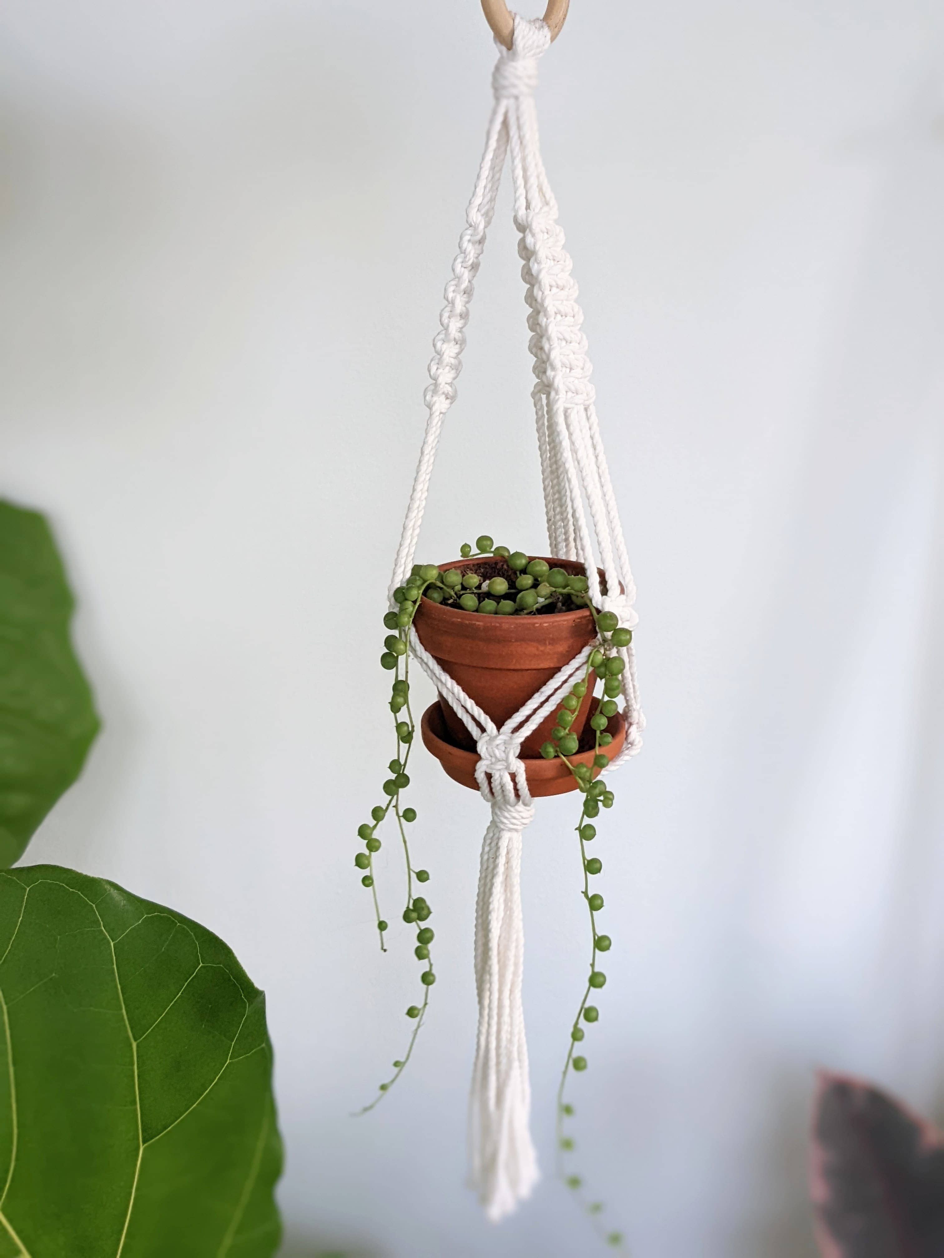 Leaf and Cord - Vente Jardinière suspendue - Cintre pour plantes en macramé - Le Petit6