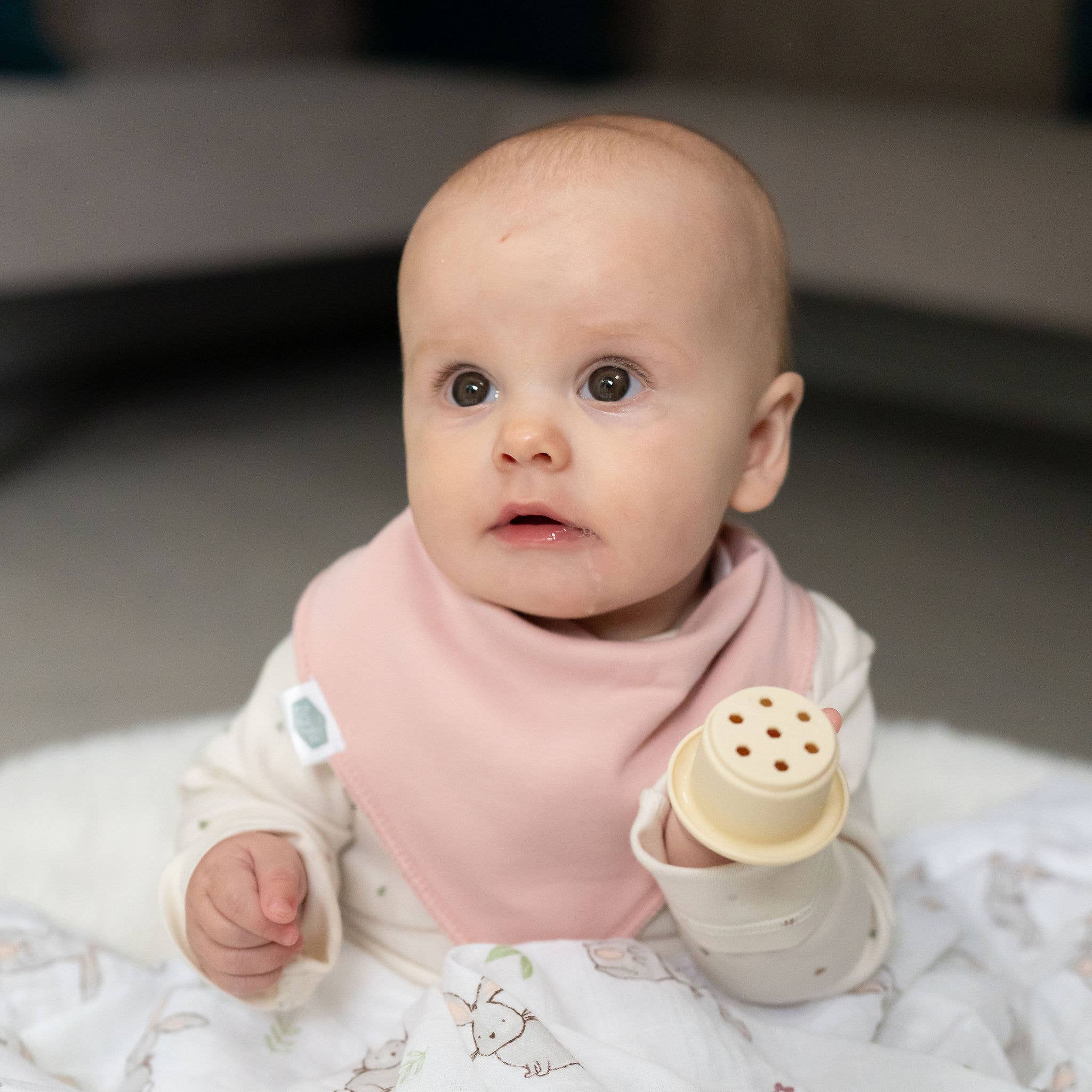 Ziggle Baby - Wholesale Bib - Baby - Neopolitan Pops bib set1