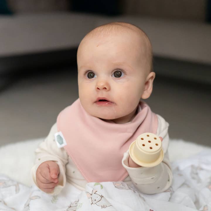 Ziggle Baby - Wholesale Bib - Baby - Neopolitan Pops bib set1