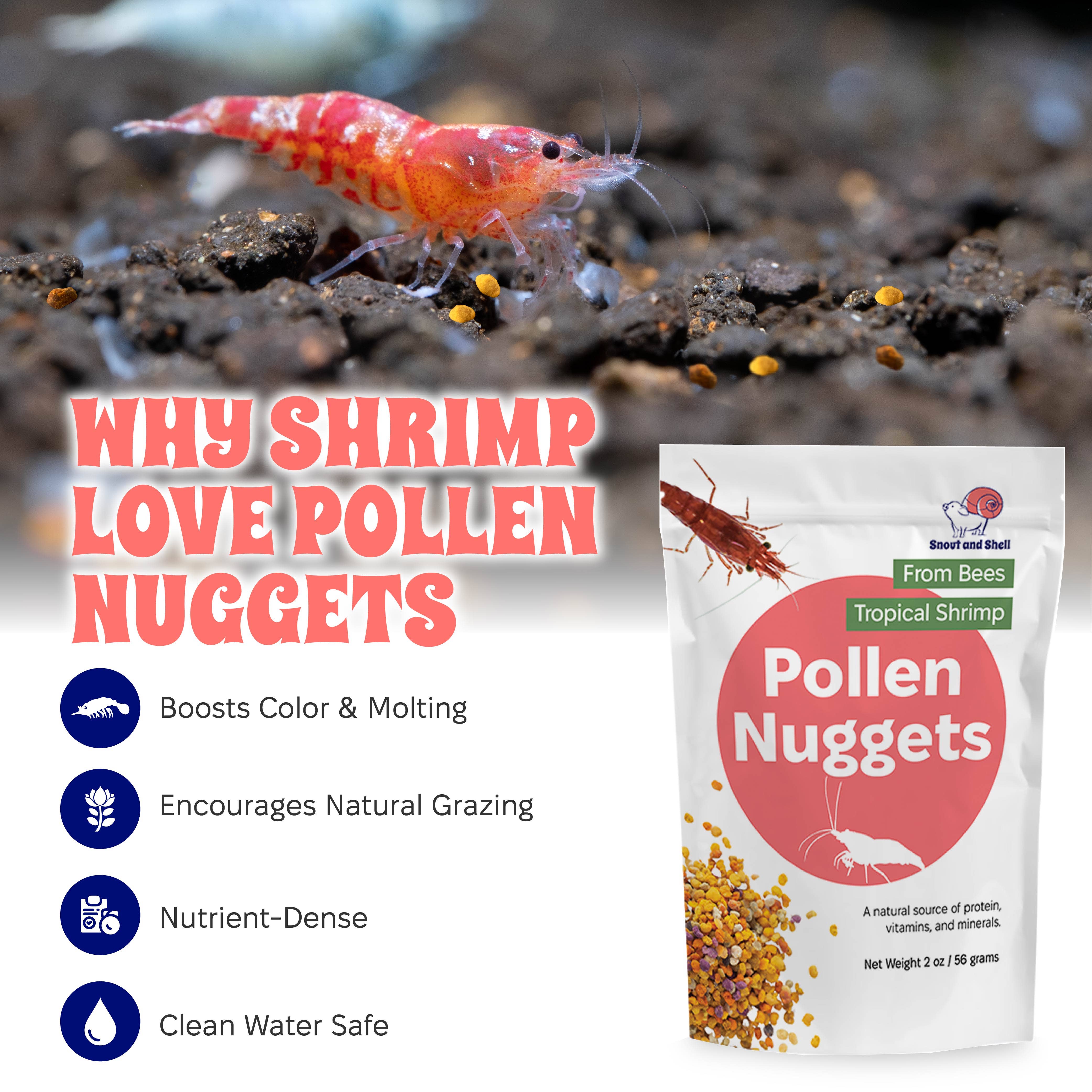 Snout and Shell - Wholesale Pet Food - Not Cat/Dog - Bee Pollen Nuggets for Shrimp Tanks1