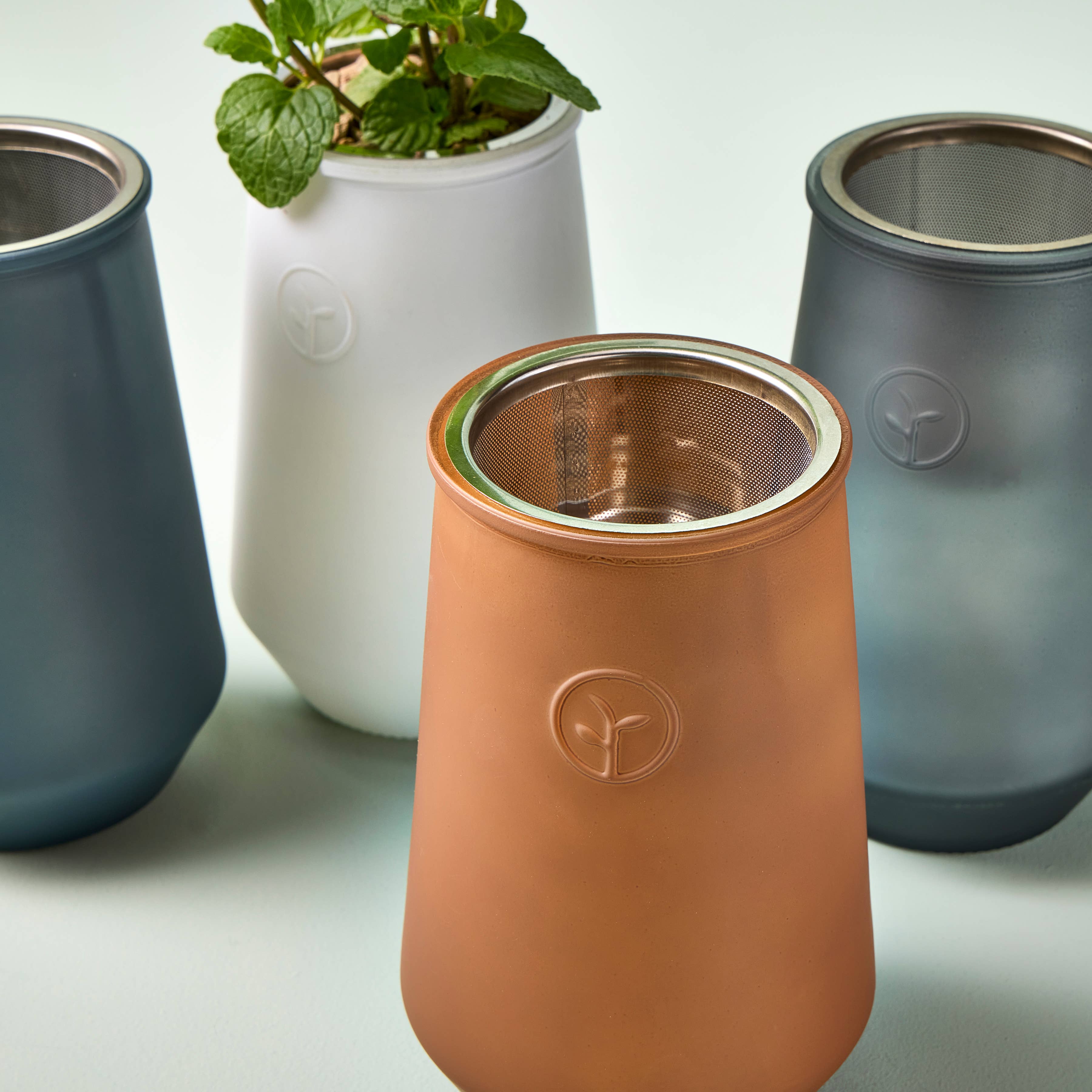 Modern Sprout - Wholesale Plant Pot - Tapered Tumbler10