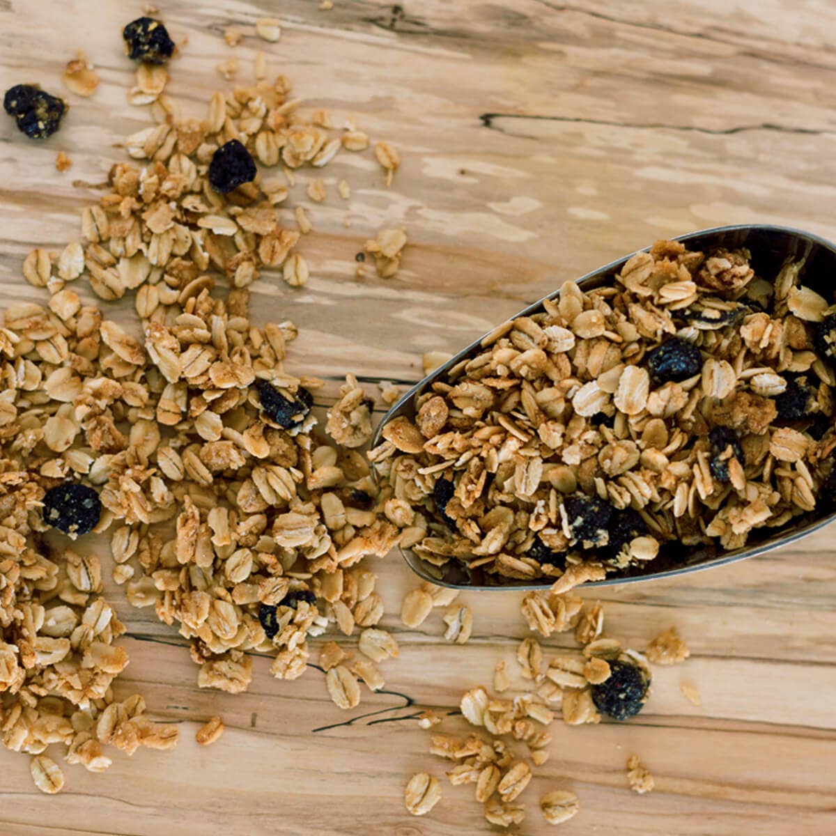 Laura’s Gourmet - Wholesale Granola - Blueberry Bliss Crunch 16 oz Retail Pack, Case of 64