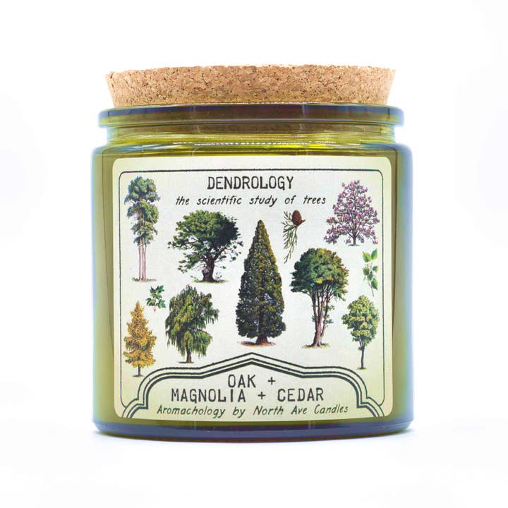 Aromachologie/Bougie en arbre/Bougie scientifique/Cadeau d'arboretum pour la vente par North Ave Candles