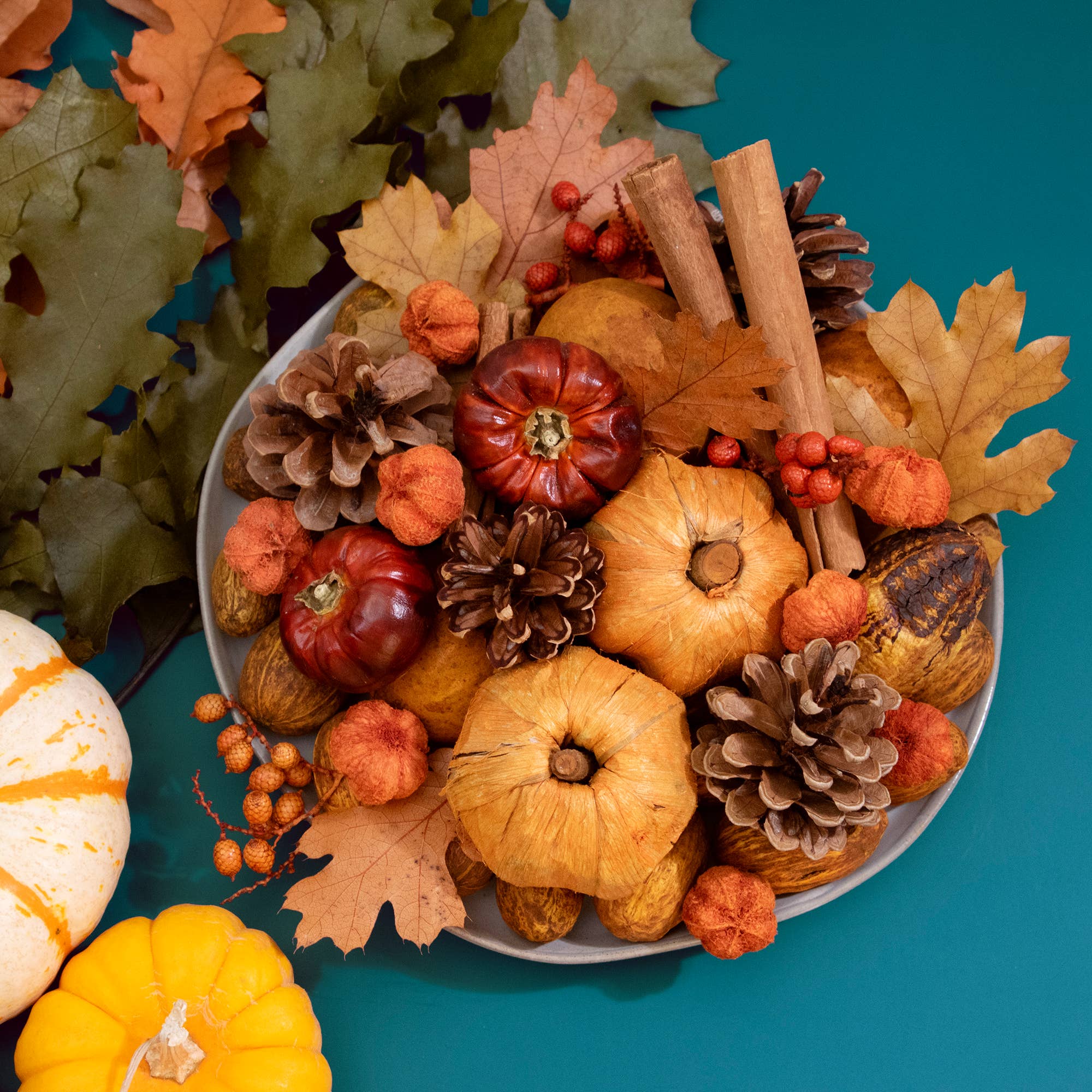 Andaluca - Wholesale Potpourri - Pumpkin Patch Potpourri4