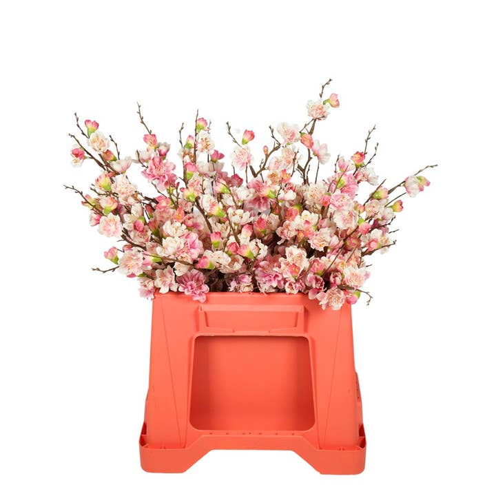 Wildflowers by Floriette - Wholesale Artificial Flowers - Prunus artificial Pick L41cm Cream/Pink
