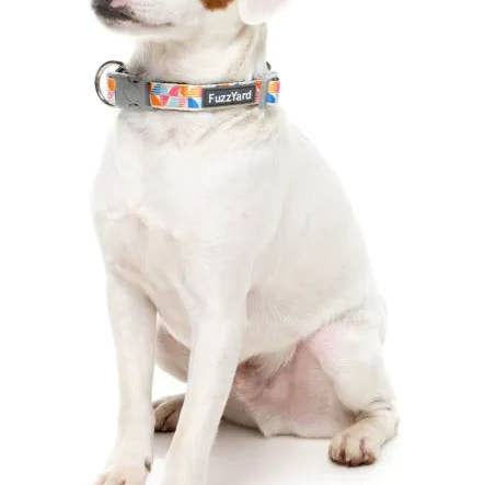 In Vogue Pets - Wholesale Pet Collar - Dog - Fresh Zest Collar1