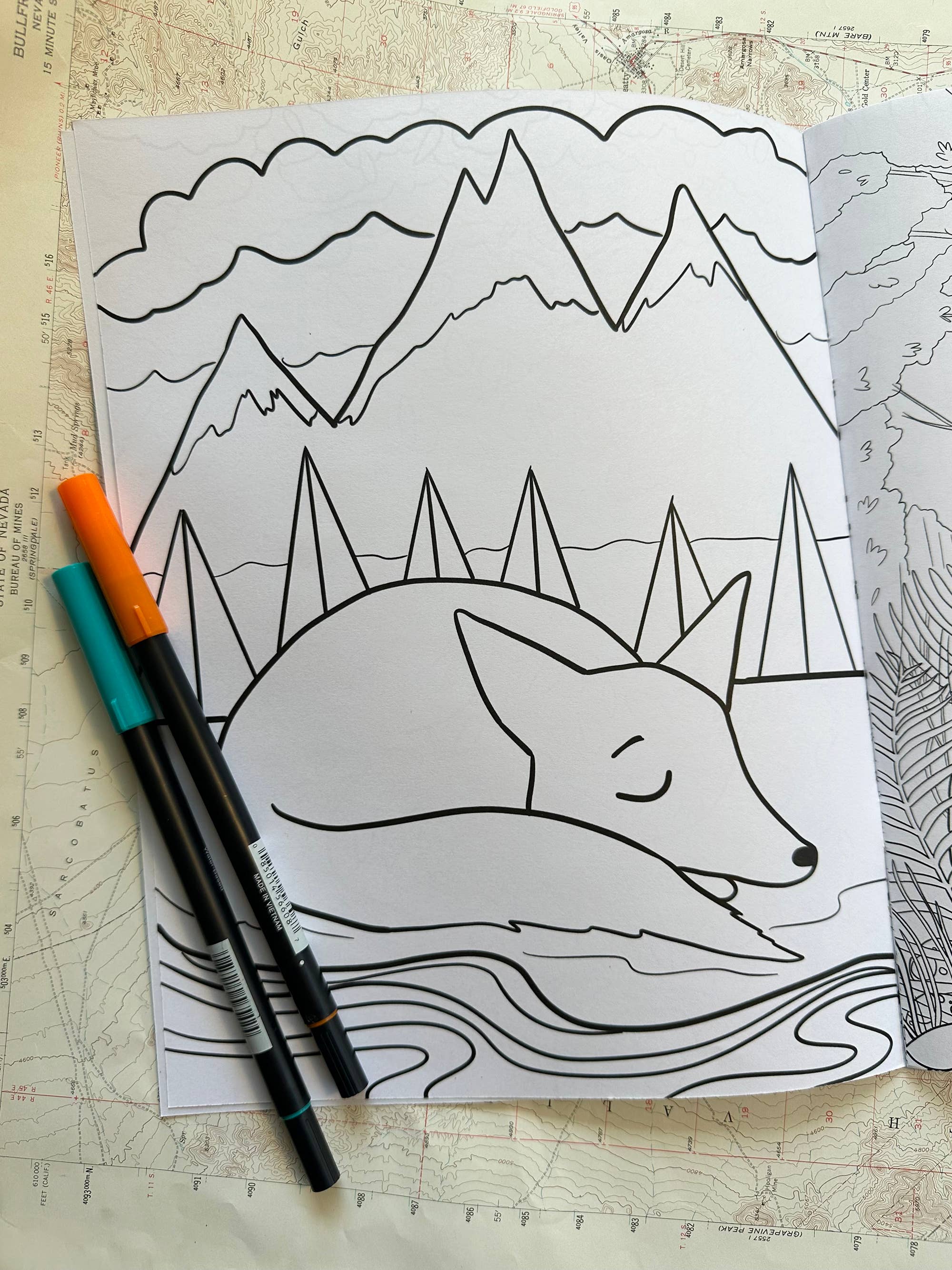 Lisa Kurt art + illustration - Wholesale Coloring & Activity Book - Kids & Baby - Lisa Kurt coloring book1