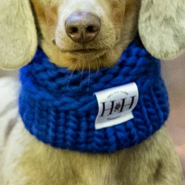 Luxuriöser handgestrickter Hundehalsschal, Saphirblau für den Großhandel von Hetty and Huxley