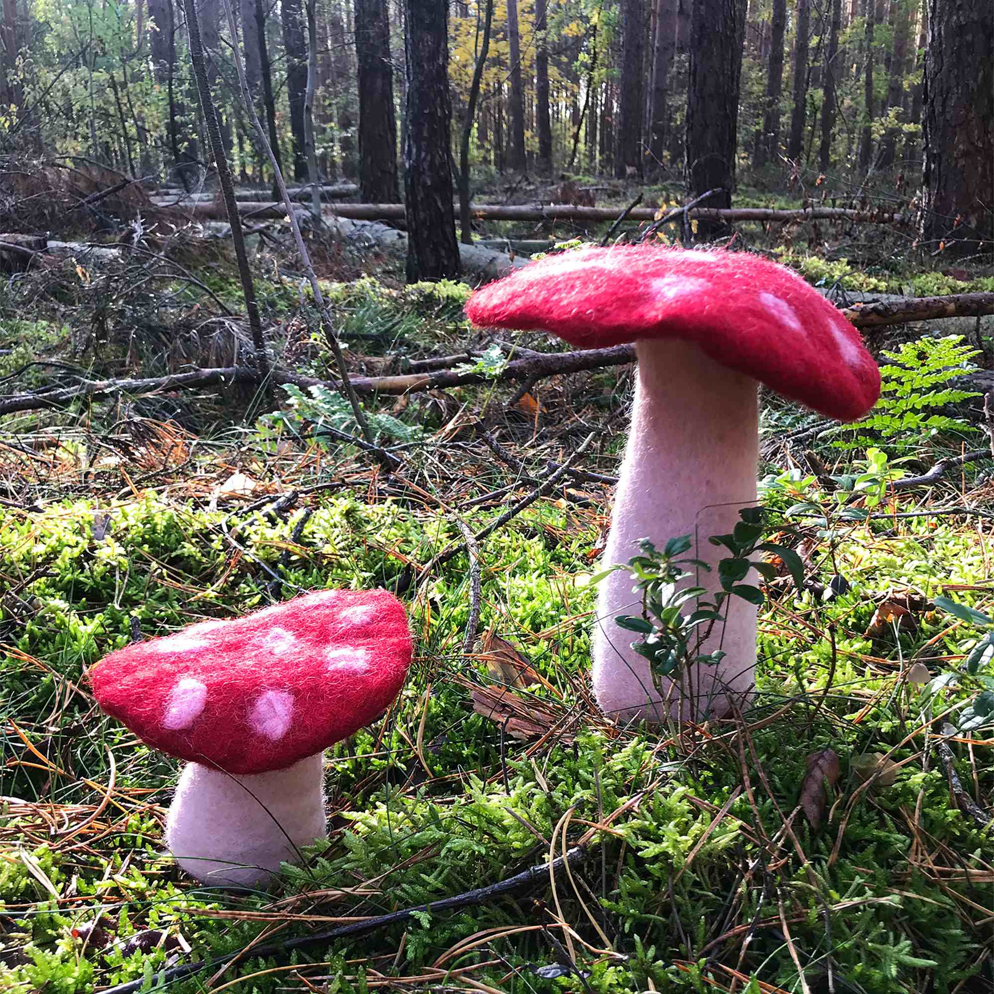 Tribal Trade GmbH - Vendita all'ingrosso Statuette decorative - Fungo amanita muscaria in feltro rosso, disponibile in 3 dimensioni27