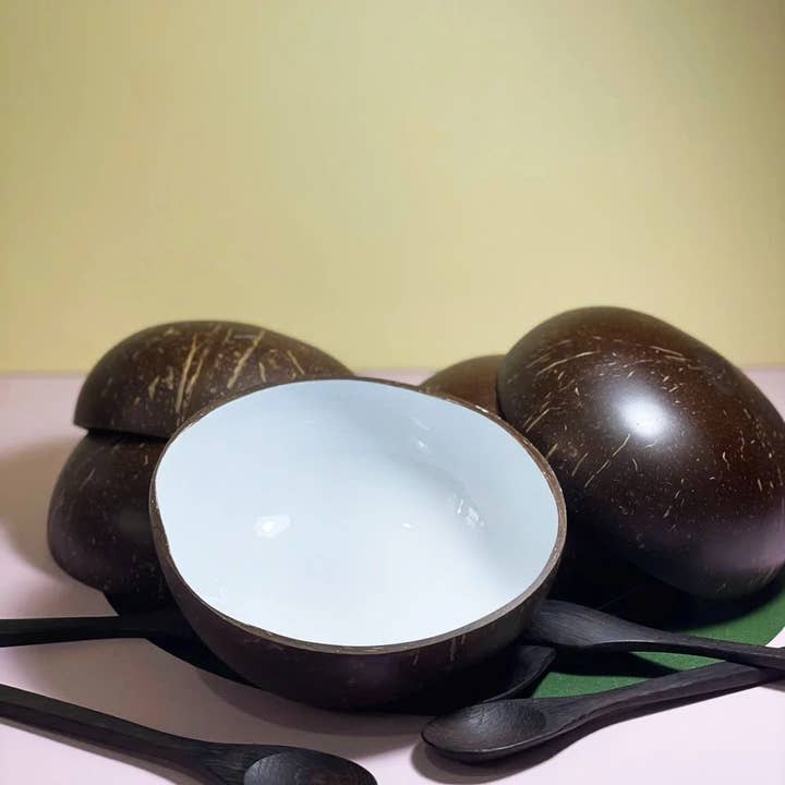 Tonkin Handicraft - Wholesale Bowl - Lacquer Coconut Bowl & Spoon 9