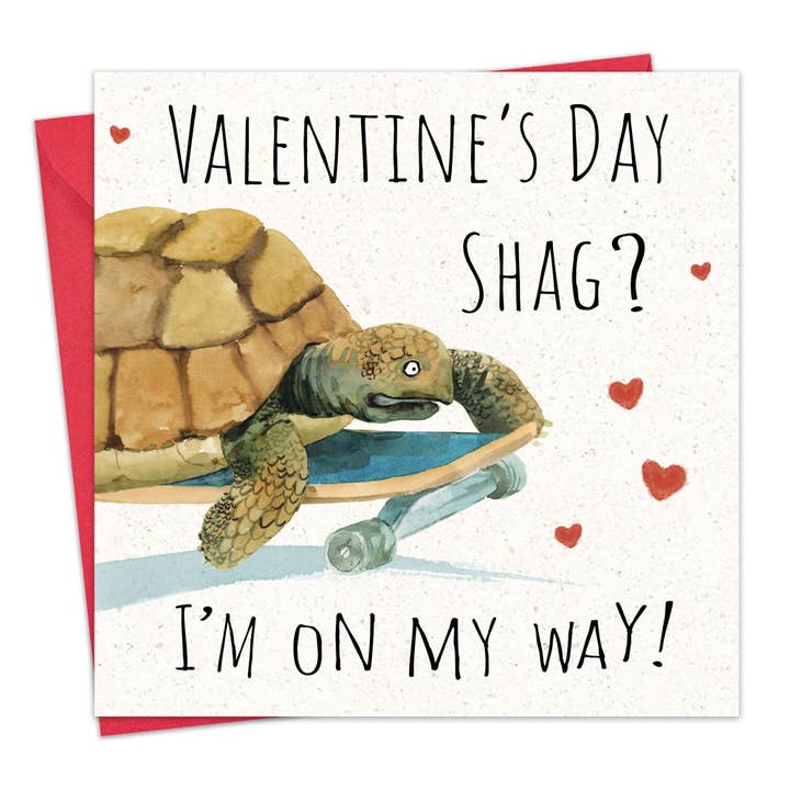 Rude Valentine's Day Card - Tortoise Shag for wholesale by Twizler Ltd