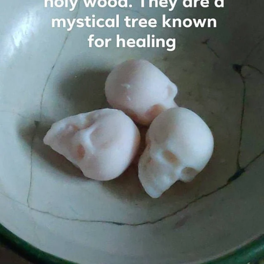 Rebel Potions - Wholesale Wax Melt - Burn The BullSh*t Skull Wax Melts5