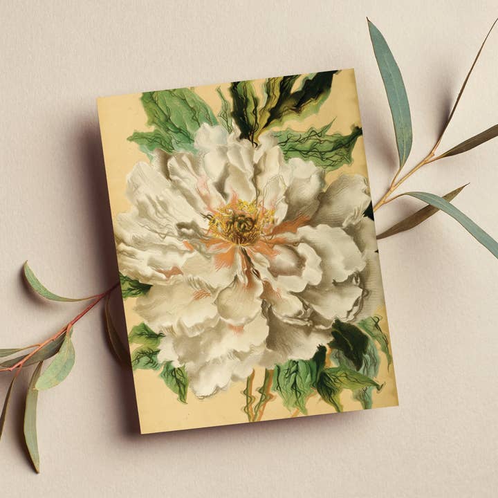Vintage Flowers Card for wholesale by The Galek Sea
