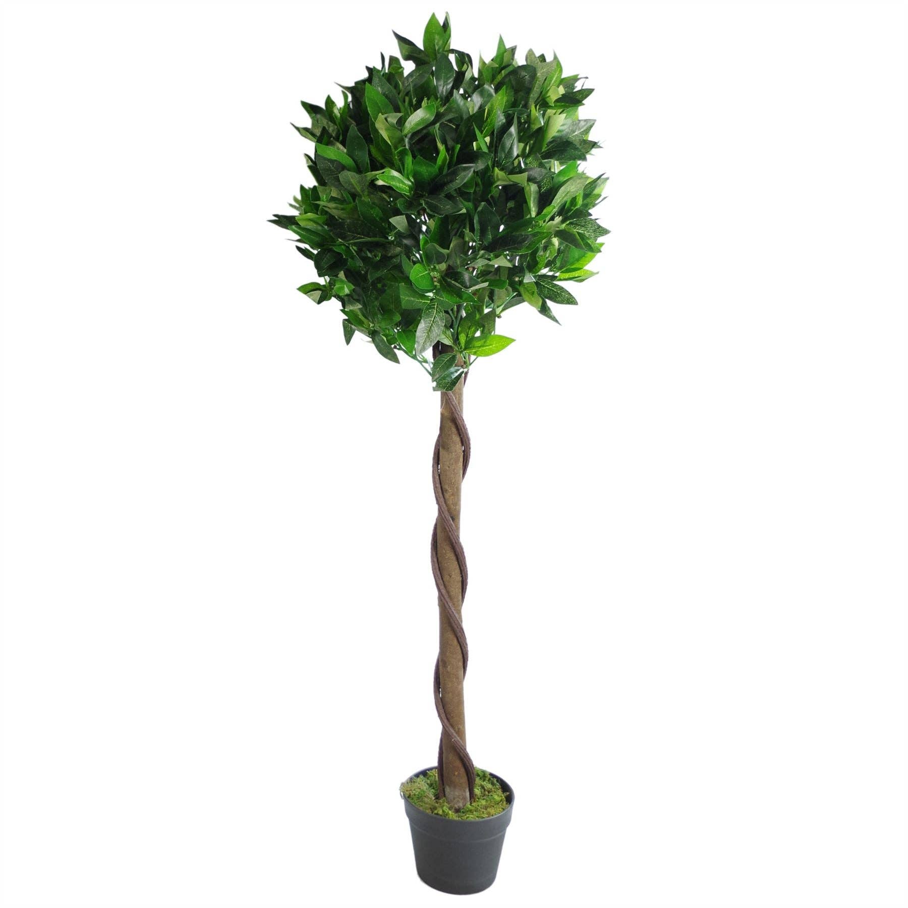 Leaf Design UK LTD – wholesale Artificial plant – Bay Laurel Trees Large Statement Entrance Trees6