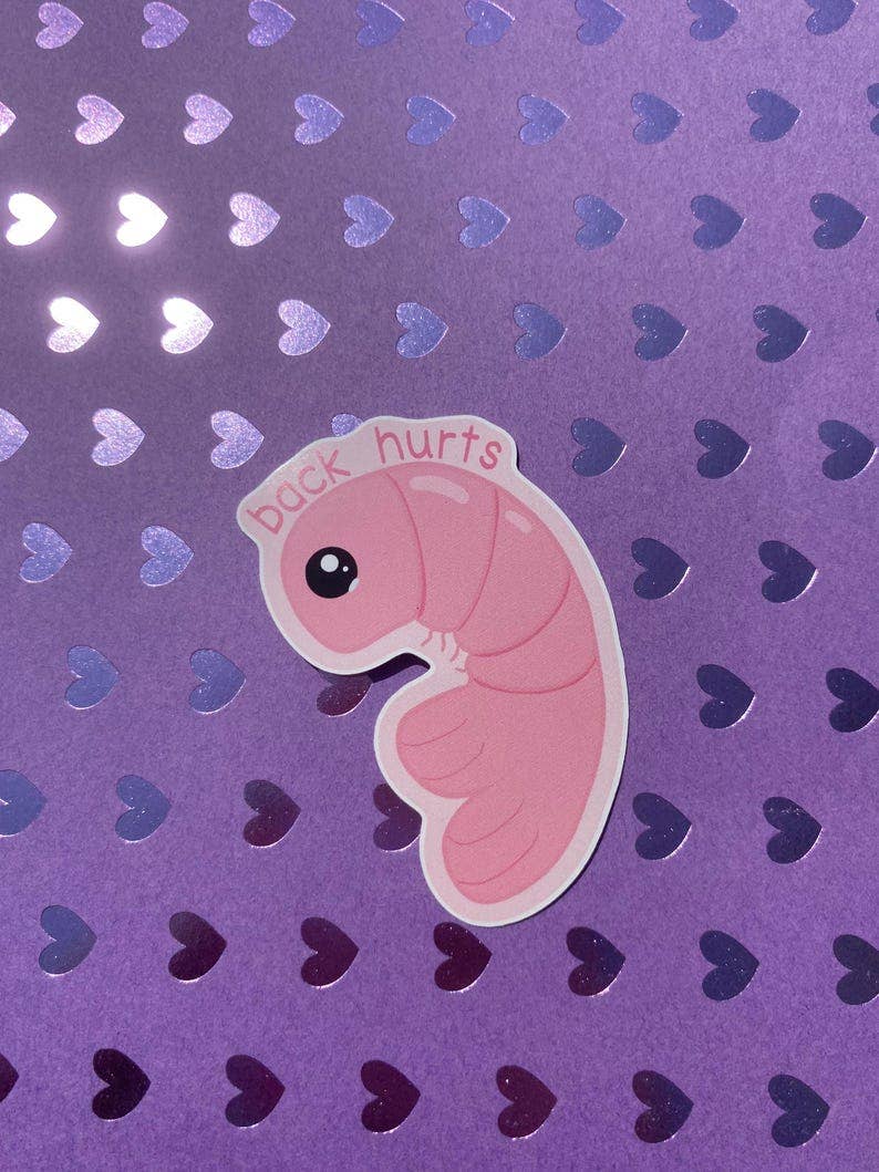 AstroManatee Shop - Wholesale Sticker - Shrimp Back Hurts 2.5” Waterproof Sticker3